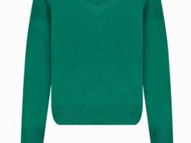 pull vert col V